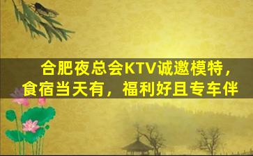 合肥夜总会KTV诚邀模特，食宿当天有，福利好且专车伴